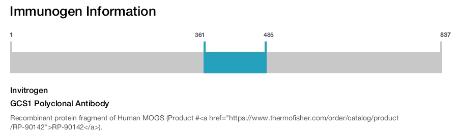 GCS1 Polyclonal Antibody