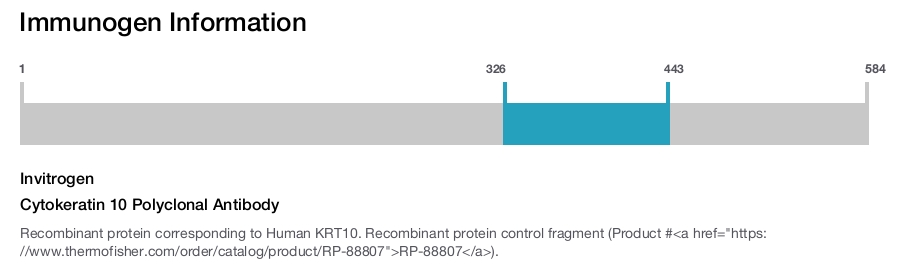 Cytokeratin 10 Polyclonal Antibody