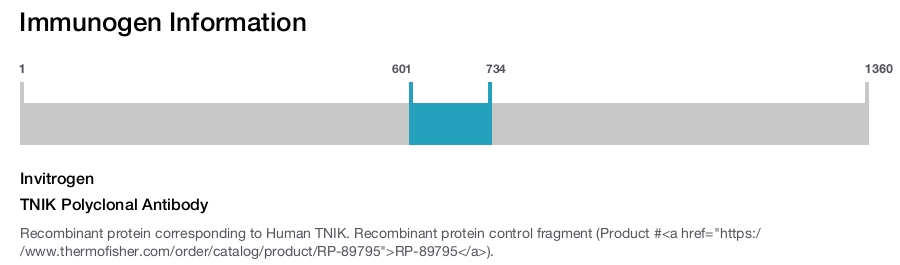 TNIK Polyclonal Antibody