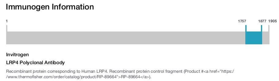 LRP4 Polyclonal Antibody