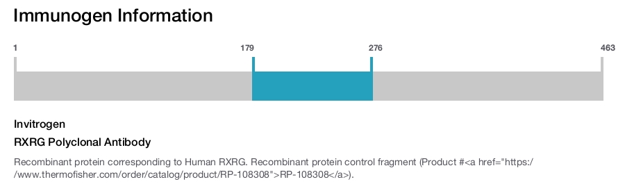 RXRG Polyclonal Antibody