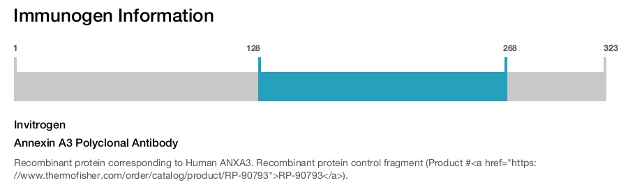 Annexin A3 Polyclonal Antibody