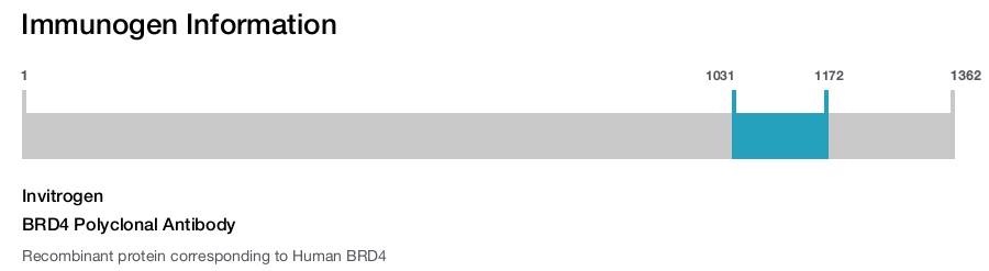 BRD4 Polyclonal Antibody