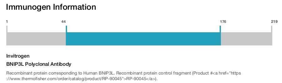 BNIP3L Polyclonal Antibody