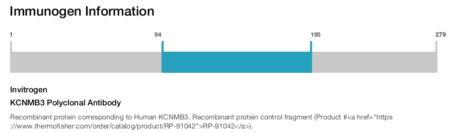 KCNMB3 Polyclonal Antibody