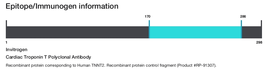 Cardiac Troponin T Polyclonal Antibody