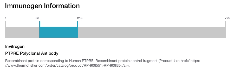 PTPRE Polyclonal Antibody