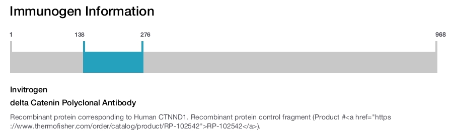 delta Catenin Polyclonal Antibody
