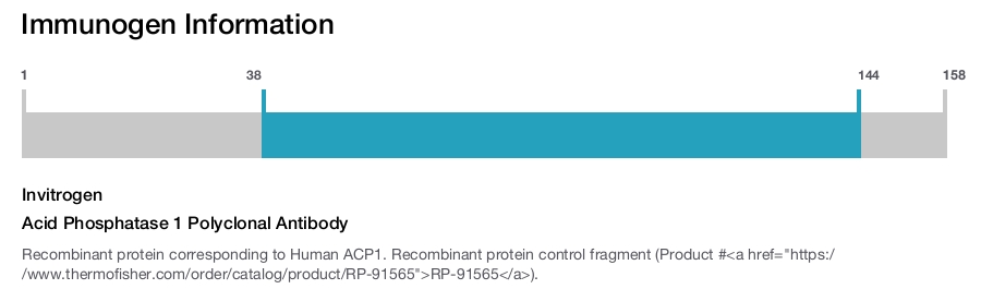 Acid Phosphatase 1 Polyclonal Antibody
