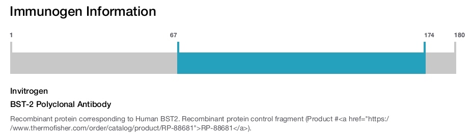 BST-2 Polyclonal Antibody