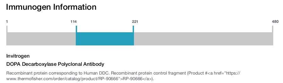 DOPA Decarboxylase Polyclonal Antibody
