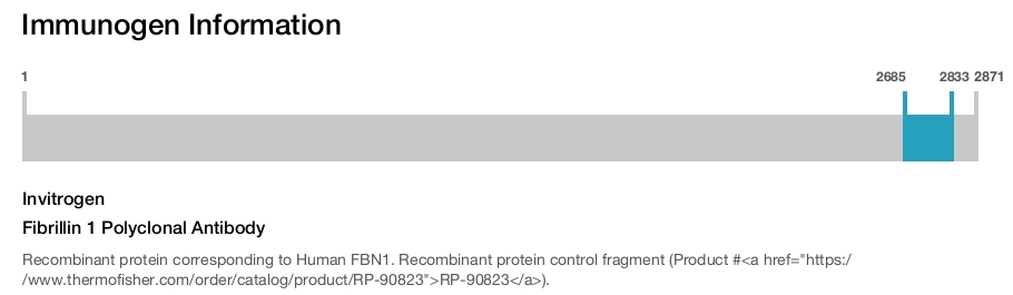 Fibrillin 1 Polyclonal Antibody