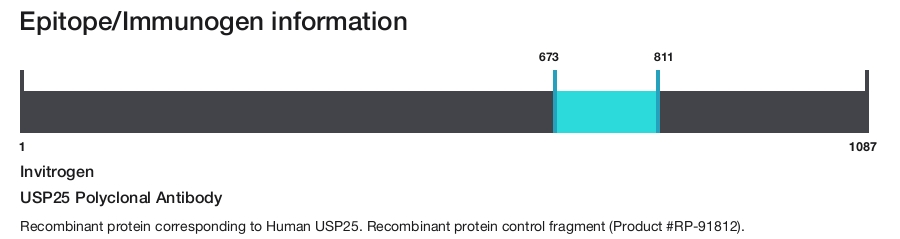 USP25 Polyclonal Antibody
