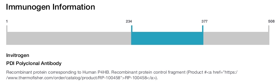 PDI Polyclonal Antibody