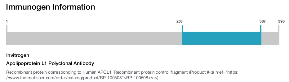 Apolipoprotein L1 Polyclonal Antibody