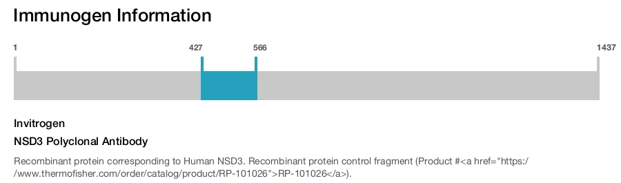 NSD3 Polyclonal Antibody