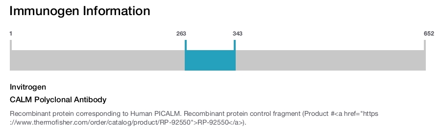CALM Polyclonal Antibody