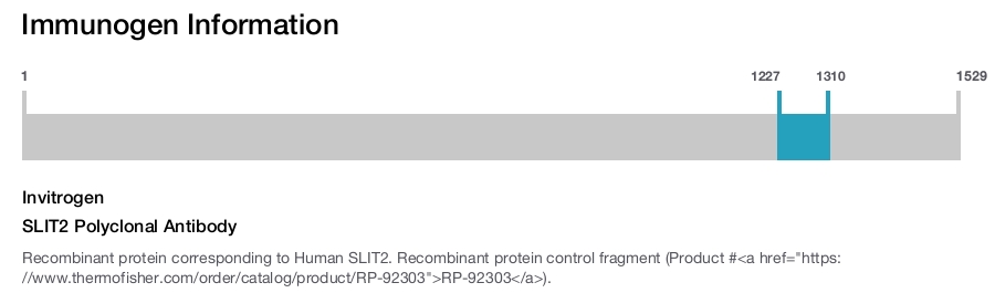 SLIT2 Polyclonal Antibody