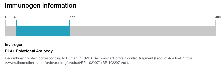 PLA1 Polyclonal Antibody