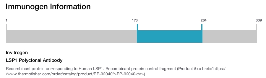 LSP1 Polyclonal Antibody