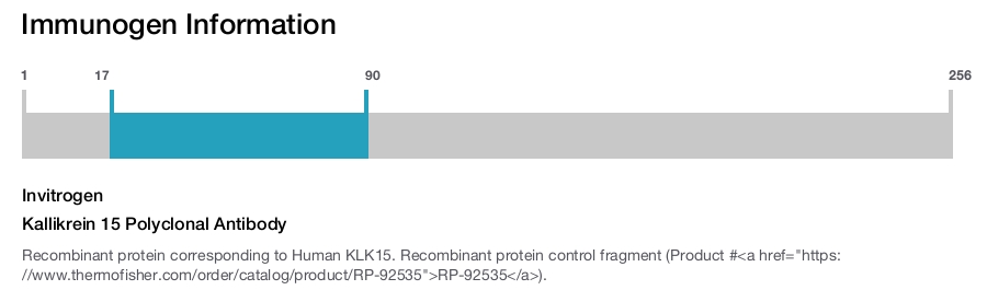 Kallikrein 15 Polyclonal Antibody