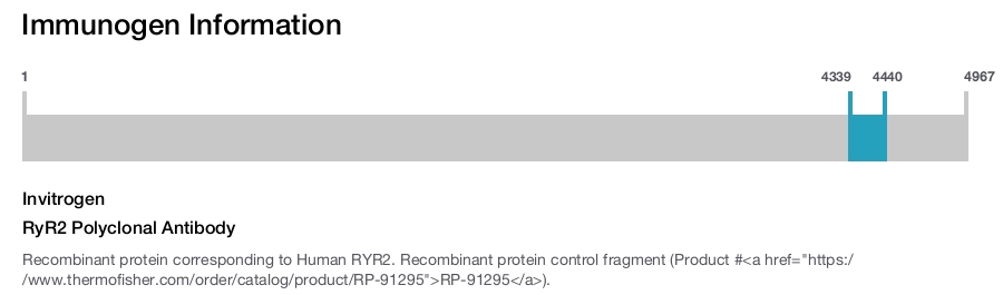 RyR2 Polyclonal Antibody