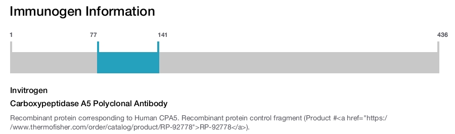 Carboxypeptidase A5 Polyclonal Antibody