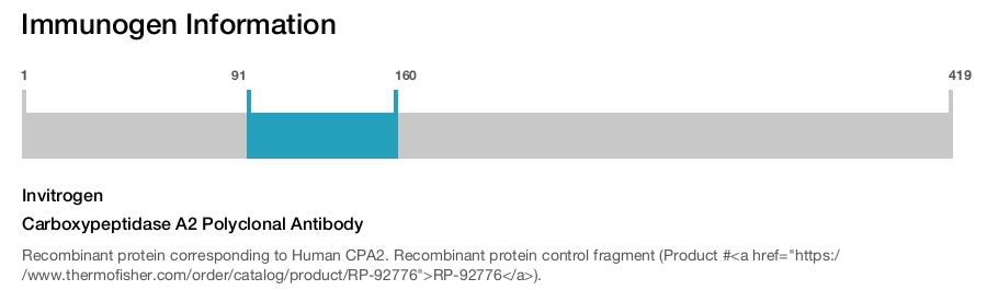 Carboxypeptidase A2 Polyclonal Antibody