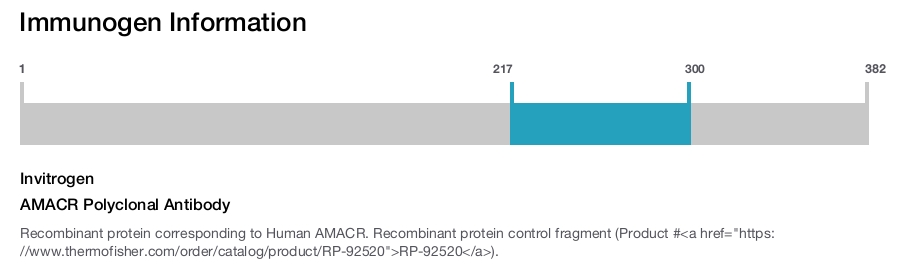 AMACR Polyclonal Antibody