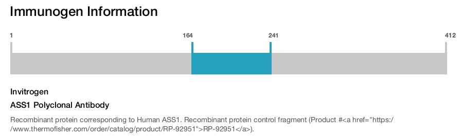 ASS1 Polyclonal Antibody