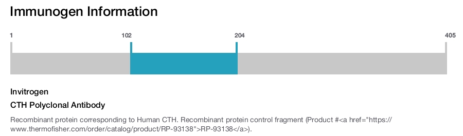 CTH Polyclonal Antibody