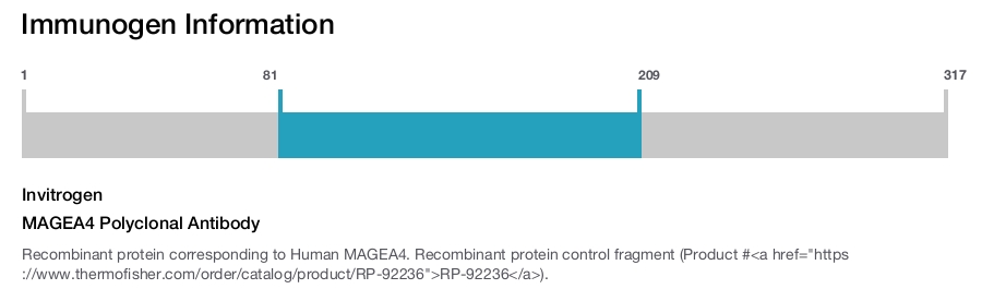 MAGEA4 Polyclonal Antibody