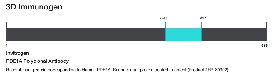 PDE1A Polyclonal Antibody