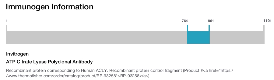 ATP Citrate Lyase Polyclonal Antibody