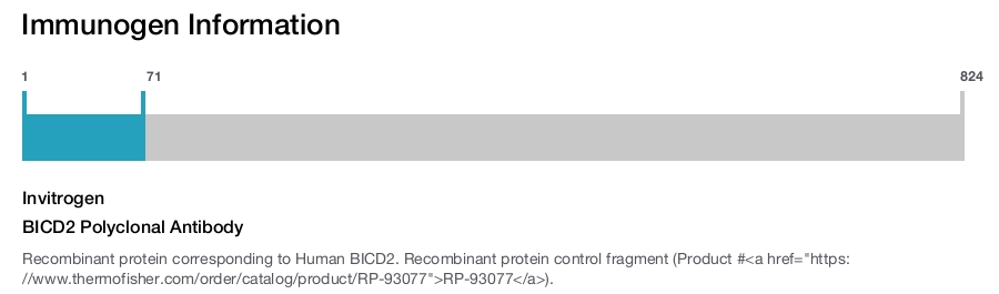 BICD2 Polyclonal Antibody