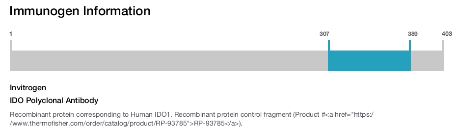 IDO Polyclonal Antibody