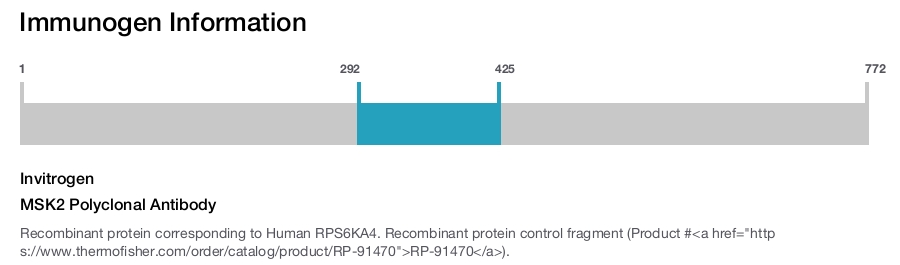 MSK2 Polyclonal Antibody