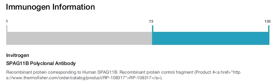 SPAG11B Polyclonal Antibody