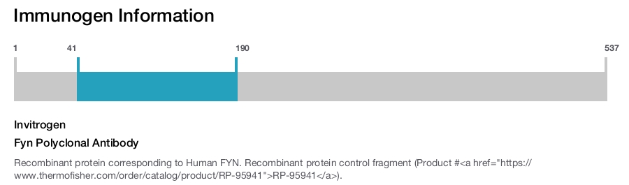 Fyn Polyclonal Antibody
