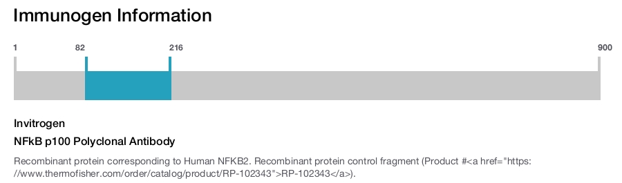 NFkB p100 Polyclonal Antibody