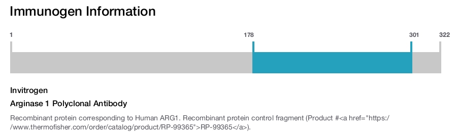 Arginase 1 Polyclonal Antibody