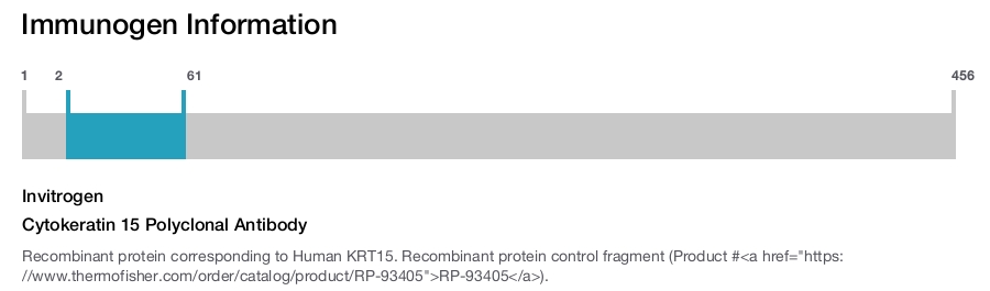 Cytokeratin 15 Polyclonal Antibody