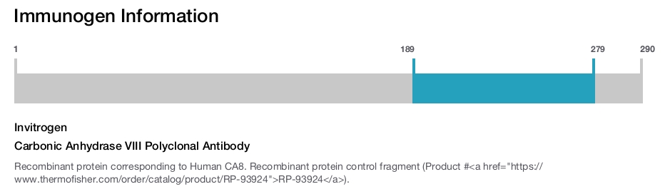 Carbonic Anhydrase VIII Polyclonal Antibody