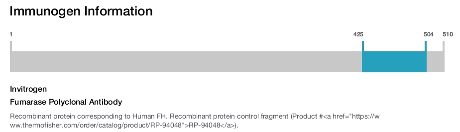 Fumarase Polyclonal Antibody