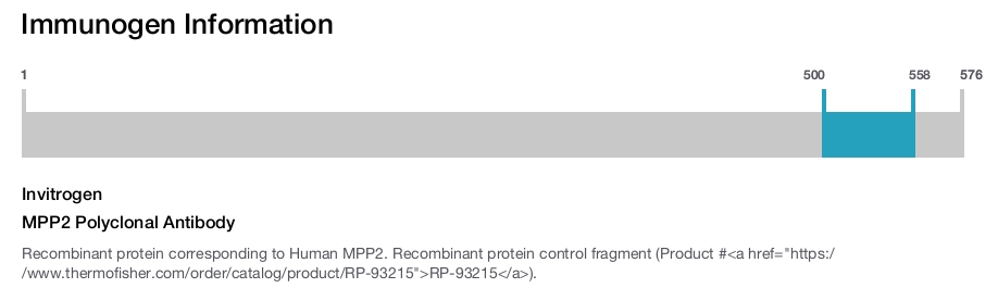 MPP2 Polyclonal Antibody