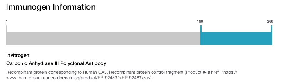 Carbonic Anhydrase III Polyclonal Antibody