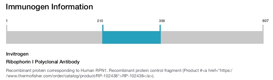 Ribophorin I Polyclonal Antibody