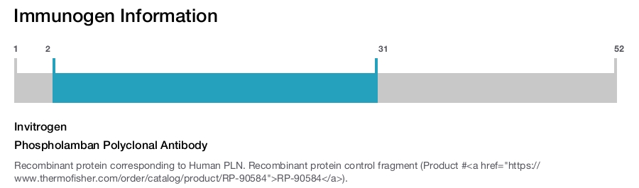 Phospholamban Polyclonal Antibody