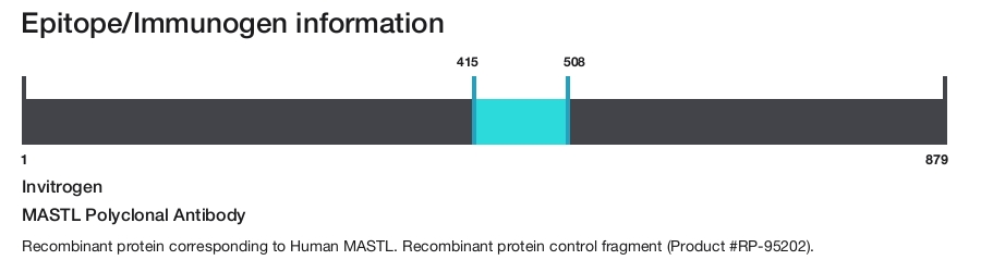 MASTL Polyclonal Antibody