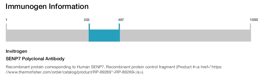 SENP7 Polyclonal Antibody